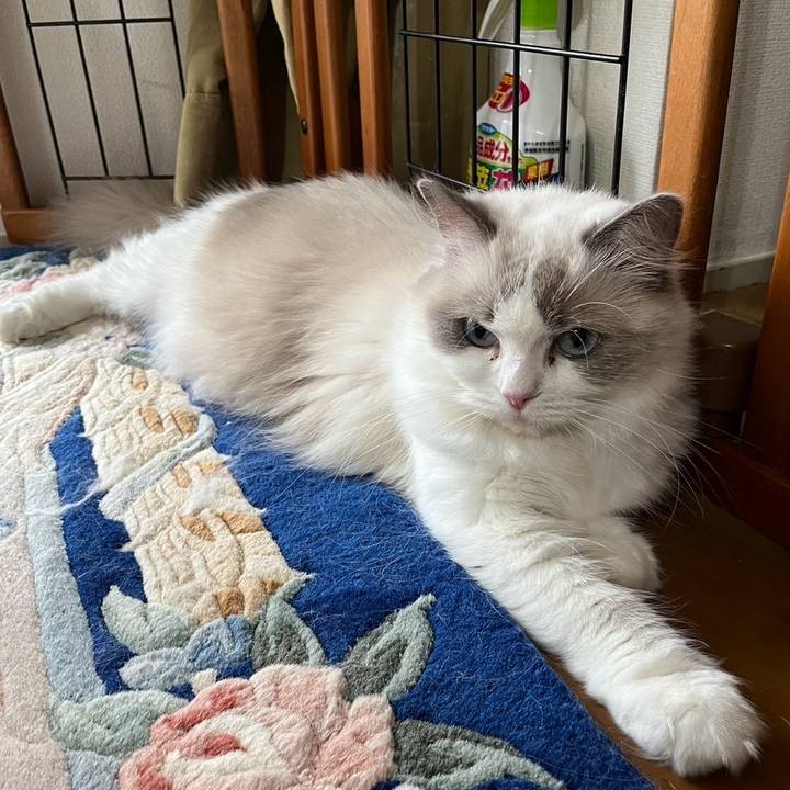 65983cad 3295 49c8 889c f1be527fc4df 1758368304181