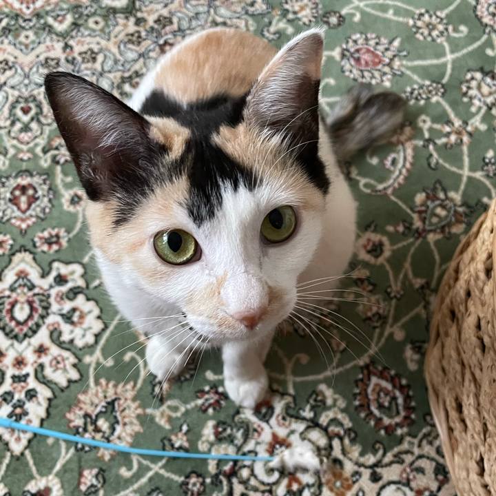 65984e6a e590 4c3e 9b56 4b6b180b64c4 1678172608272