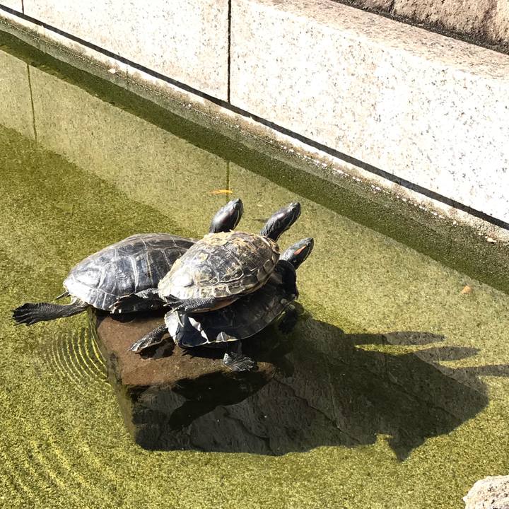 65985b07 e099 44cd 983a d789e7b1db81 1511148883574