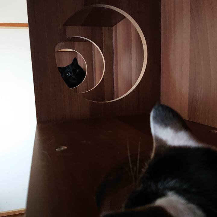 65986908 e6a2 4520 bfe9 b0ba217ed8e2 1722474819772