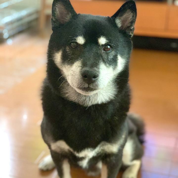 6598763f 7acb 4c46 805d 0ab34c7ba0fe 1696906951235