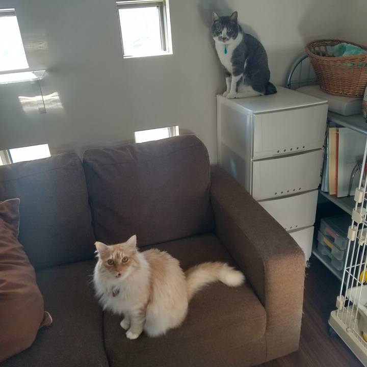 65989729 05c4 42f3 937b 6fc96f728949 1651718819448