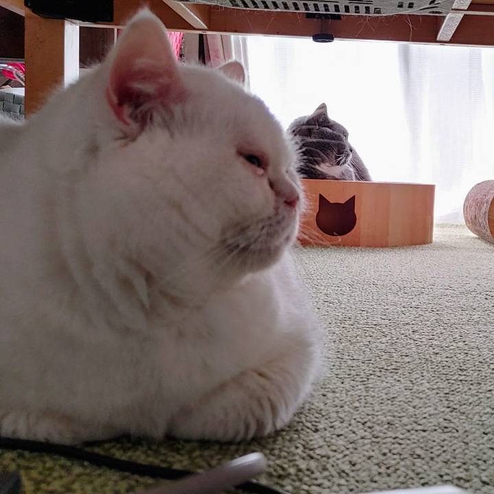 6598f735 d8d9 451c 8a84 d881b9639518 1651535395589