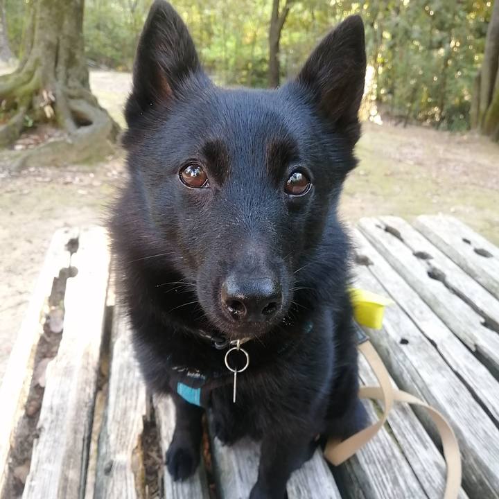 659908eb a94e 4e39 9a11 5fc2c231e79d 1652908208114