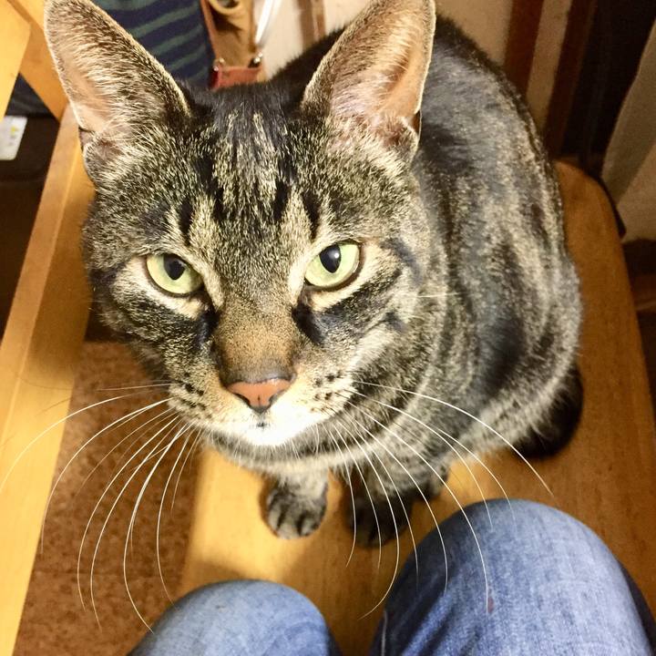 65992a7c 6a2b 4365 9cc5 4b7b0e57f329 1620436343249