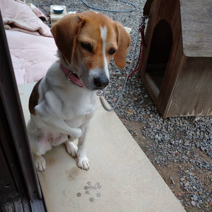 6599449c 57c5 4435 b552 aedd9cf5b4f9 1581571901122