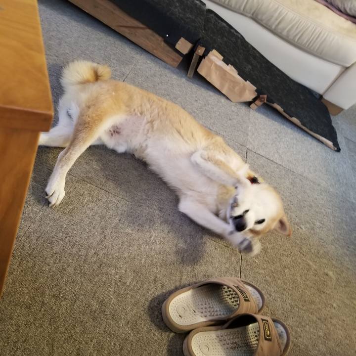 659972e0 fd9a 421b 97e0 cec0e2647b02 1755993800672