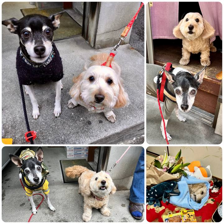 65999f32 dde7 4de9 9ff2 4b6a9a4cbe16 1676110351571