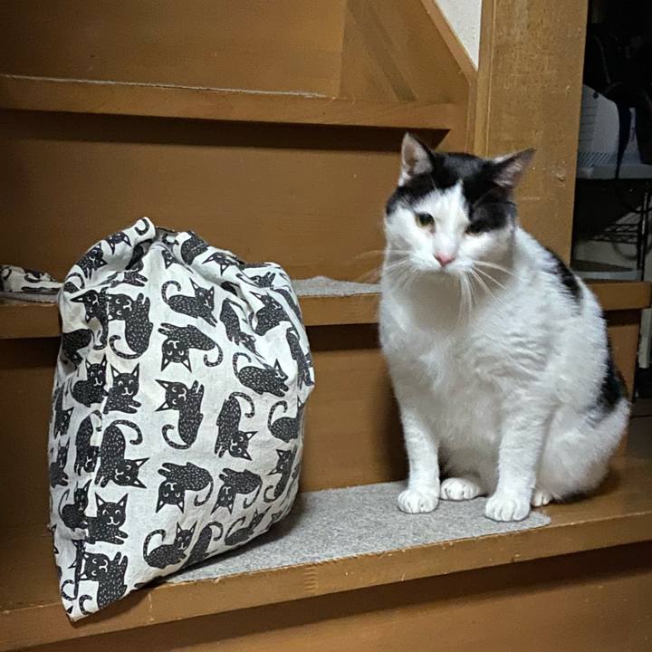 6599ae15 32c4 41ff 9429 92b8d9a03ede 1584444849043