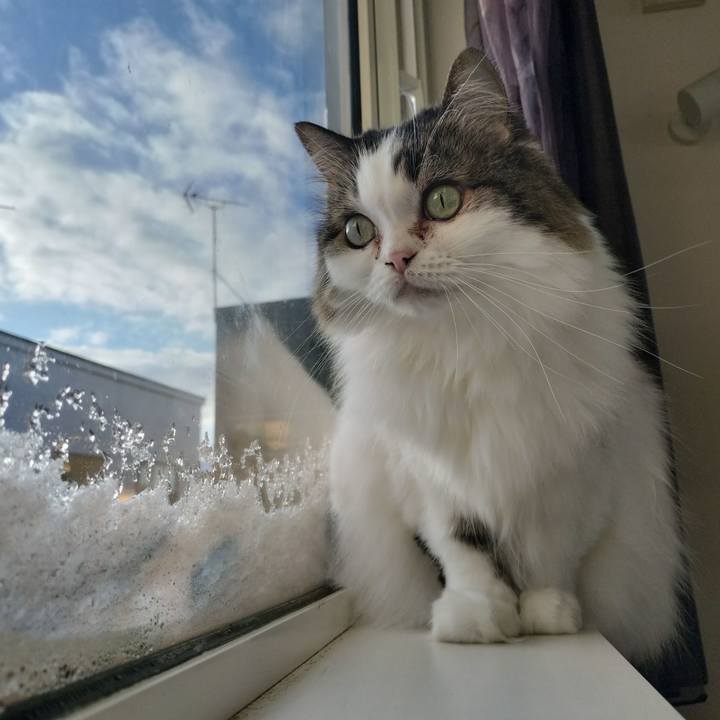 6599b5d4 e51d 4b7c 8849 d26119aac90d 1763506741137