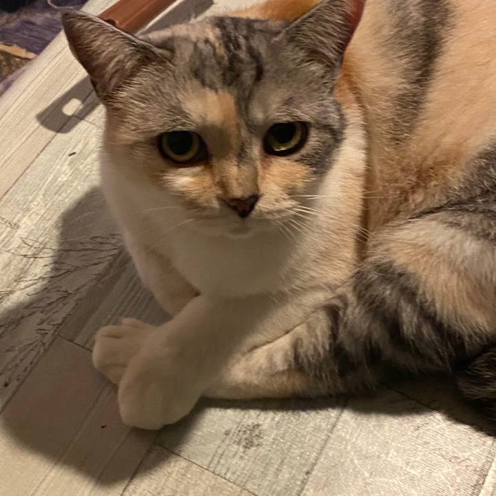 6599cde0 5ec9 4753 b7e7 17a7e31cdc66 1595688464891