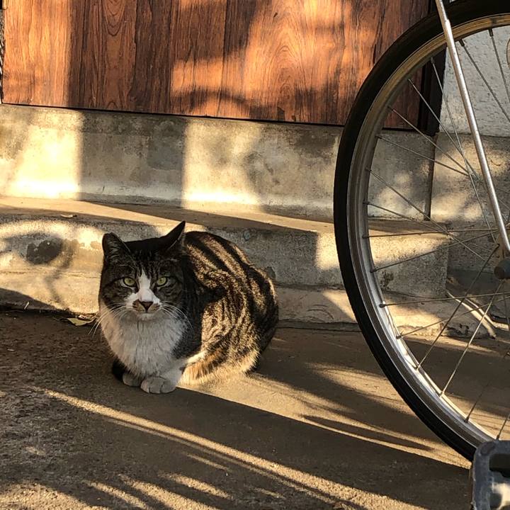 6599db59 d9c4 4f4b a5c4 d2e096f13d2f 1585409573332