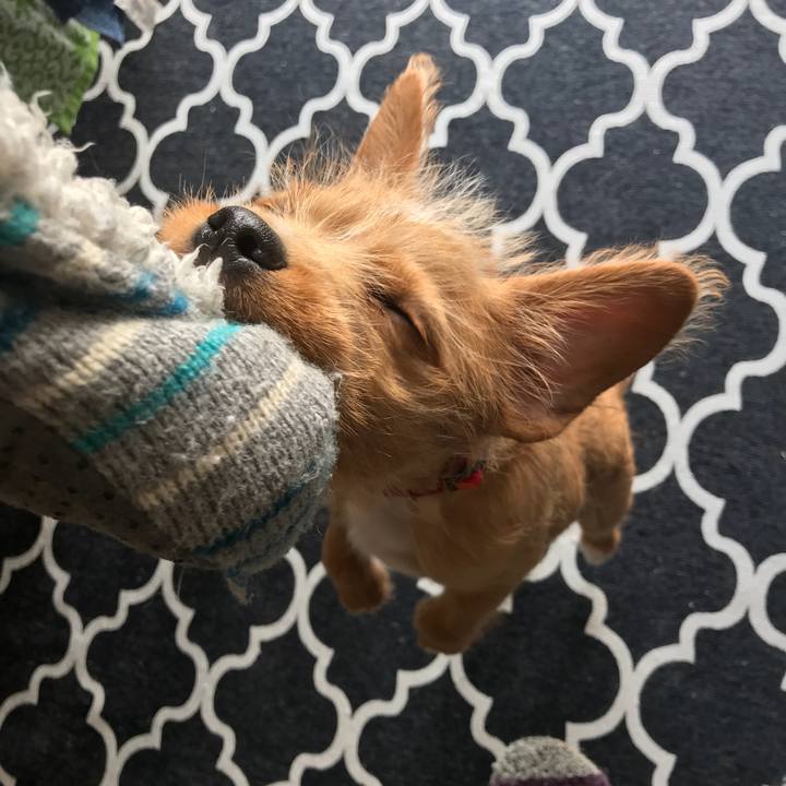 659a02df b547 44d6 ac46 df02742db2eb 1519185861546