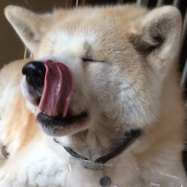 659a71bb 8058 43e7 803c 97041122453e 1551545781864