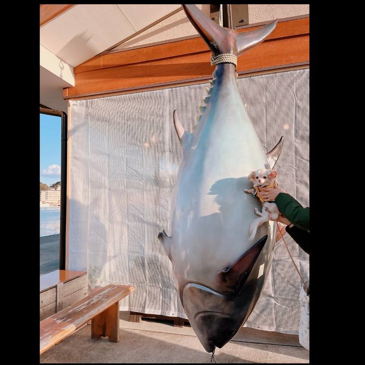 659a82d9 cc11 41c4 9b9f 49db692b6485 1673425286670