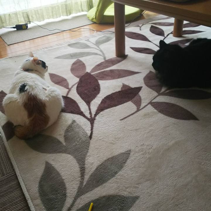 659a8817 d038 4ad0 89b3 934e0e9f55af 1527462055041