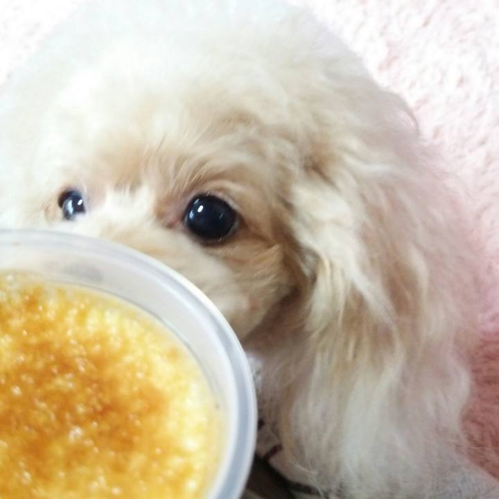 659aa250 b956 489d 8ca0 4b38c378d71f 1549629011434