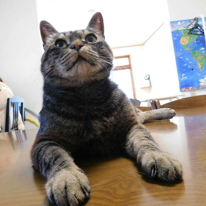 659aa4a9 993f 46e3 b494 df390f76c5e1 1531316404871