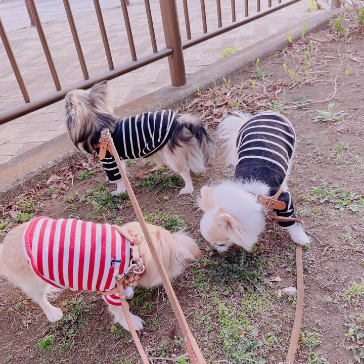 659aa8df 5703 42dd 964f 54bcb8a28af8 1679381214374