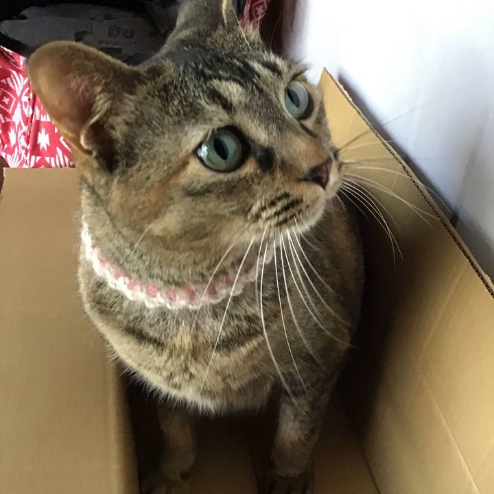 659ab6b6 881d 4ac1 9adc 63abef8e6e95 1658740979694