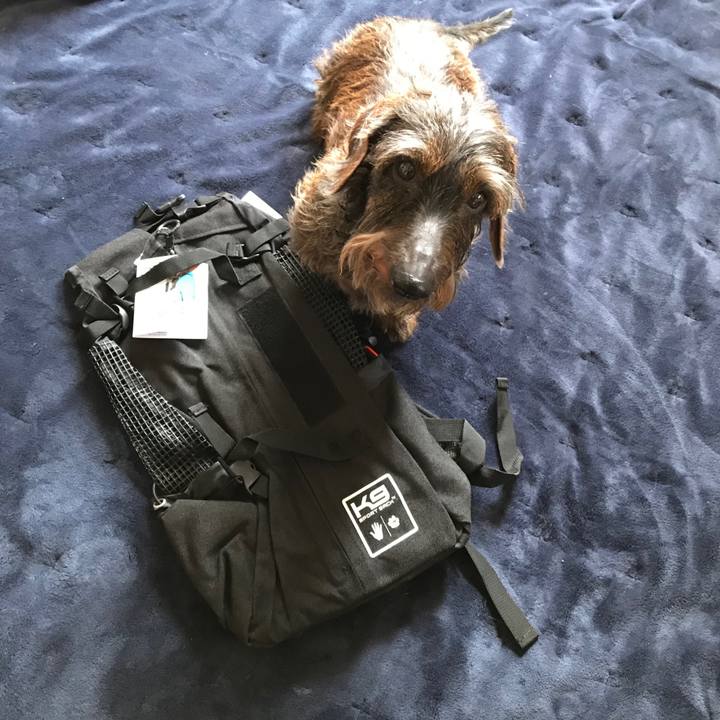 659ab906 c4bb 455f 8bc6 14aa6ae70f52 1556420703567