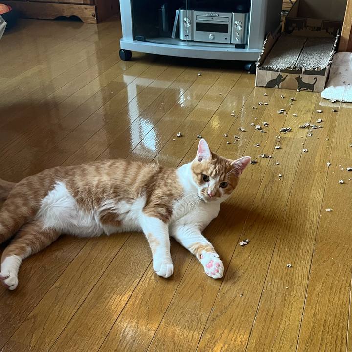 659abf05 3e32 4fd0 b4bb 2e7a1655de0c 1676671760222