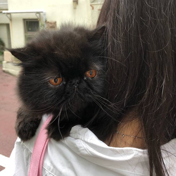 659abfe6 184f 4508 9d5b d276ba9afdc3 1604209879525