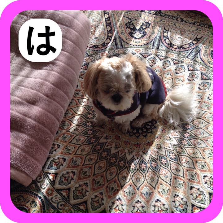 659afd61 45d8 494e 825a 3ce3009f28a2 1514961708272