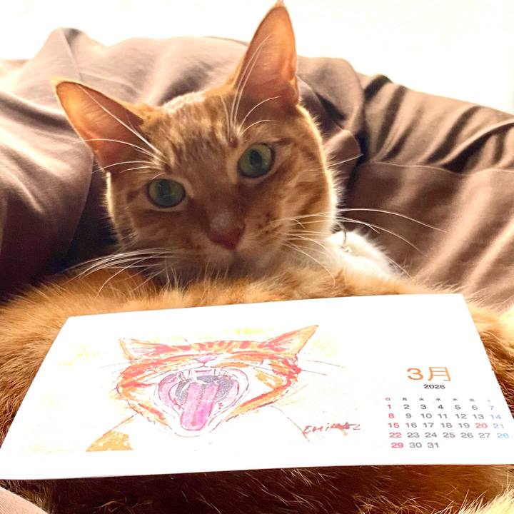 659b10d5 4b1a 4a4a b13b 82fca665f661 1772445788549