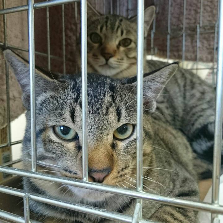 659b4843 8ddd 4b39 b60e b6d2b683a1e6 1510487543646