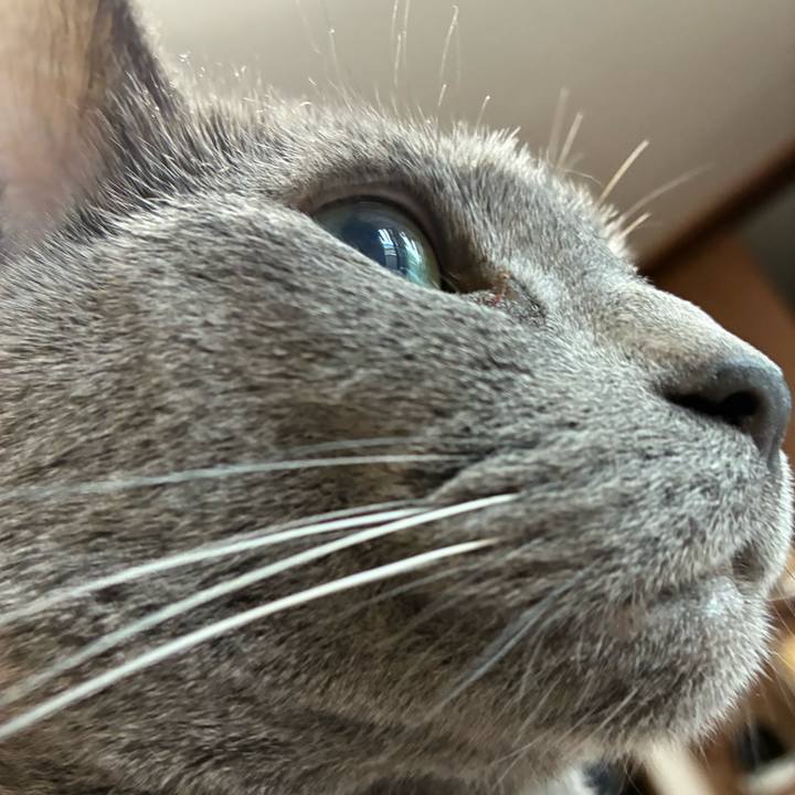 659b6058 0777 49dd 953c 94d52bed4cc9 1746842097724