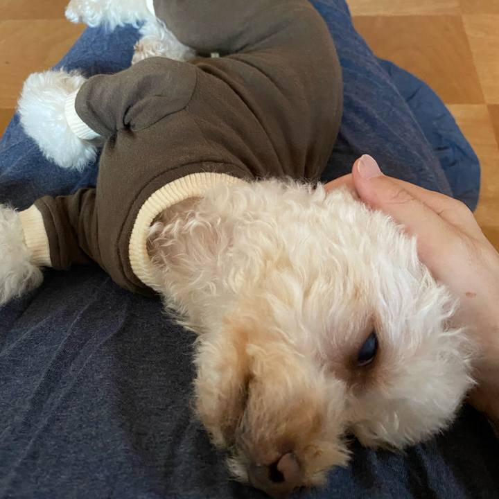 659b8114 e806 468a 8c91 1efba8d54af2 1629595582256