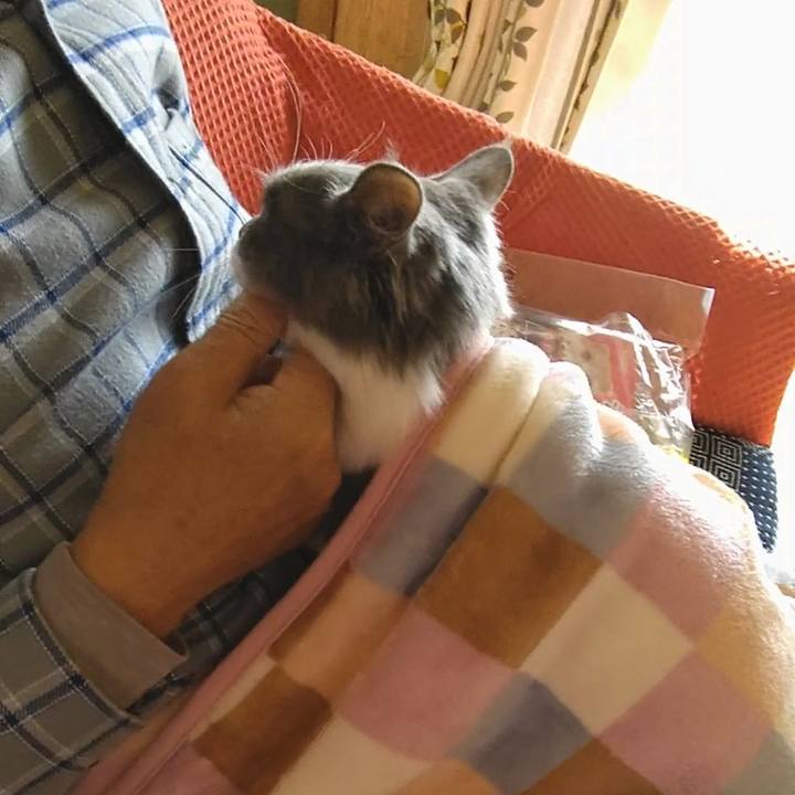 659b8921 32e3 4ac1 8fec 946117515013 1573511649674