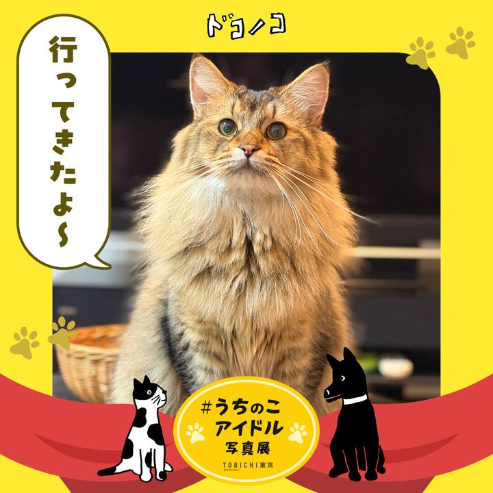 659bdfdc ffb8 49f4 b184 fbd09fe9ebed 1761173463141