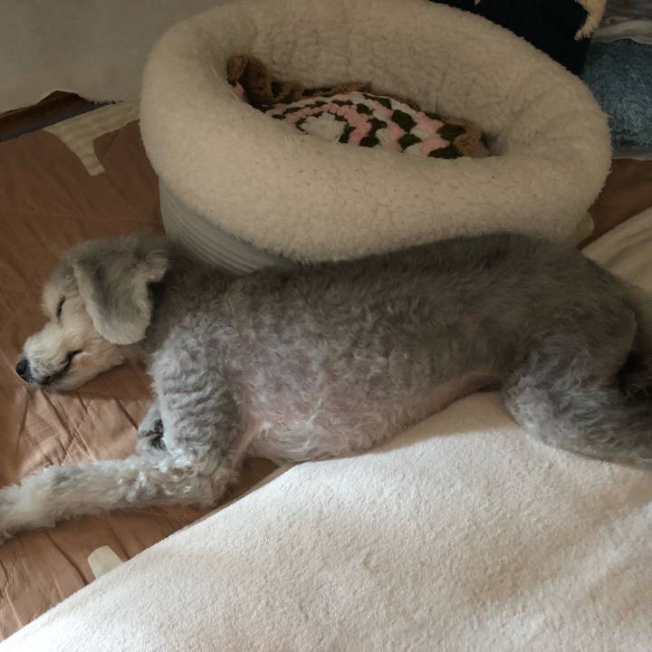 659bec58 3b2d 4eaf bcaf a81e05e10c0b 1598666661826