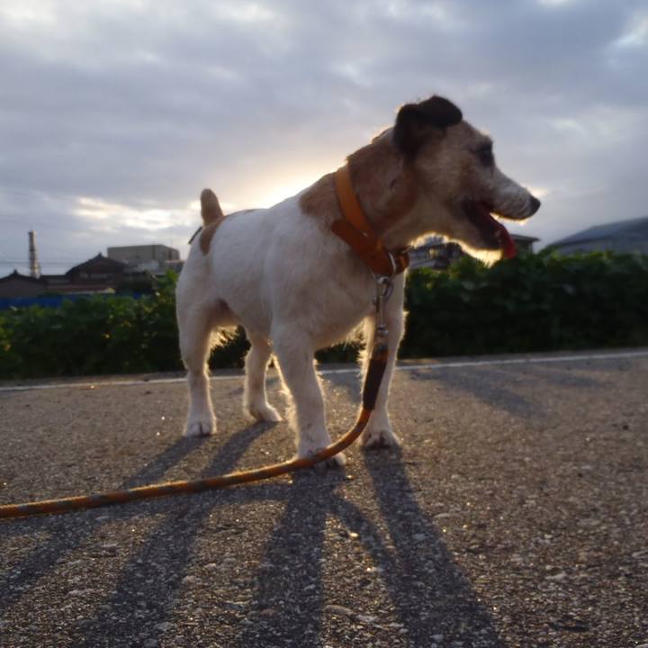 659c5c84 9f30 4a92 aa87 ab4820e9e5ef 1534029385316