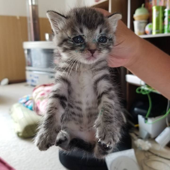 659ce1e7 923e 43eb 999f 64905c98287f 1659879495430