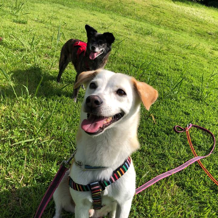 659d0068 841e 4f31 95da cd5ace3f3f6f 1629168391451