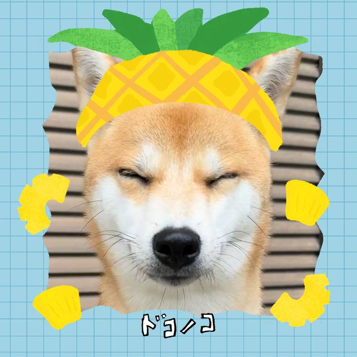 659d0a5c 4a67 4cd1 9a62 3be4dce29c65 1783456573981