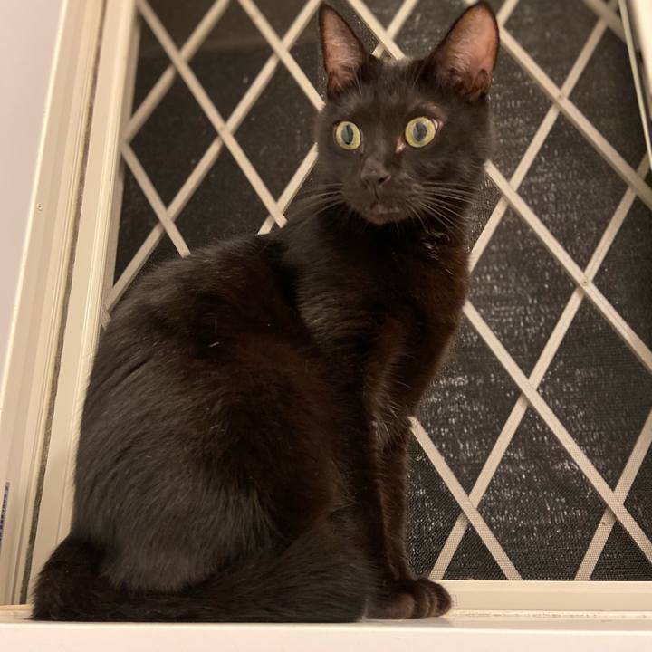 659d0bbe b2b3 46cc 8734 da49b44e7867 1662637777385