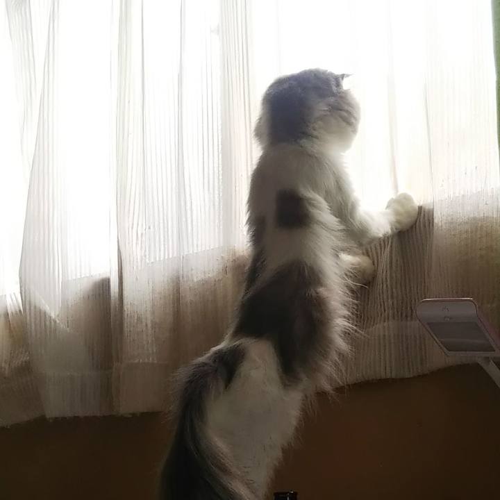 659d36cb be92 4781 9424 8de145e12b15 1624752976015