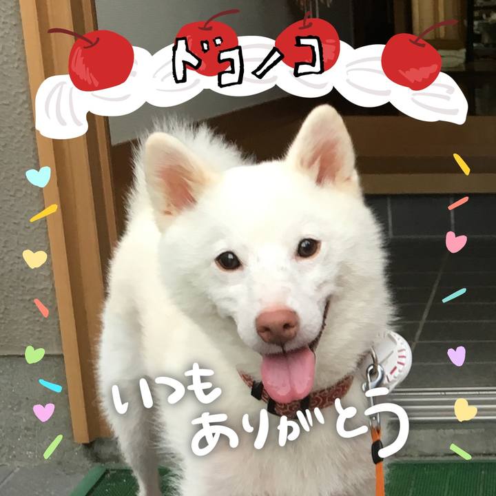 659d3bf5 9d3d 439a 93bf ddf6988c407f 1685953140258