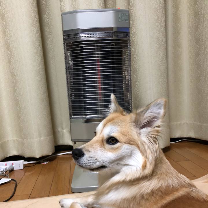 659d424c 9f0d 4ebc b988 c842fd7bc729 1513933804976