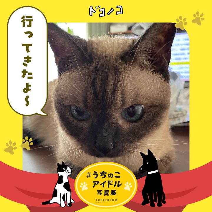 659d4308 1593 4dd2 8f8c d2697ef4338c 1761138443563