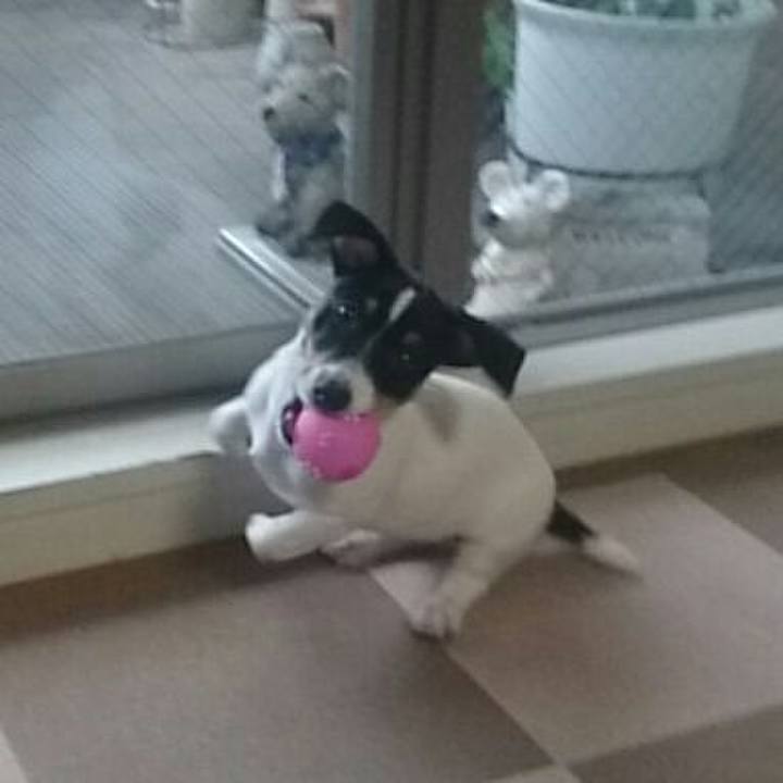 659d8e7c 7e1e 41c3 8c52 bd04ddd22eee 1511761031963