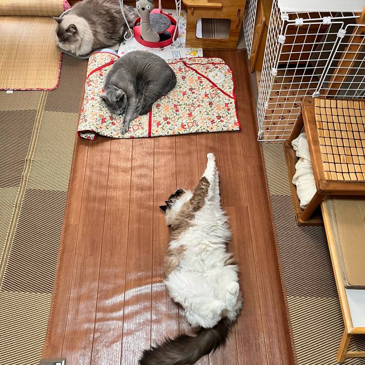 659d9bfe 0487 4b0b bf96 065e863d41ff 1672824899520