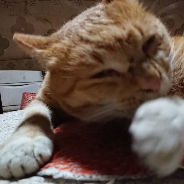 659db56c cc34 4ddd b9dd e79c01eb0465 1574595110370