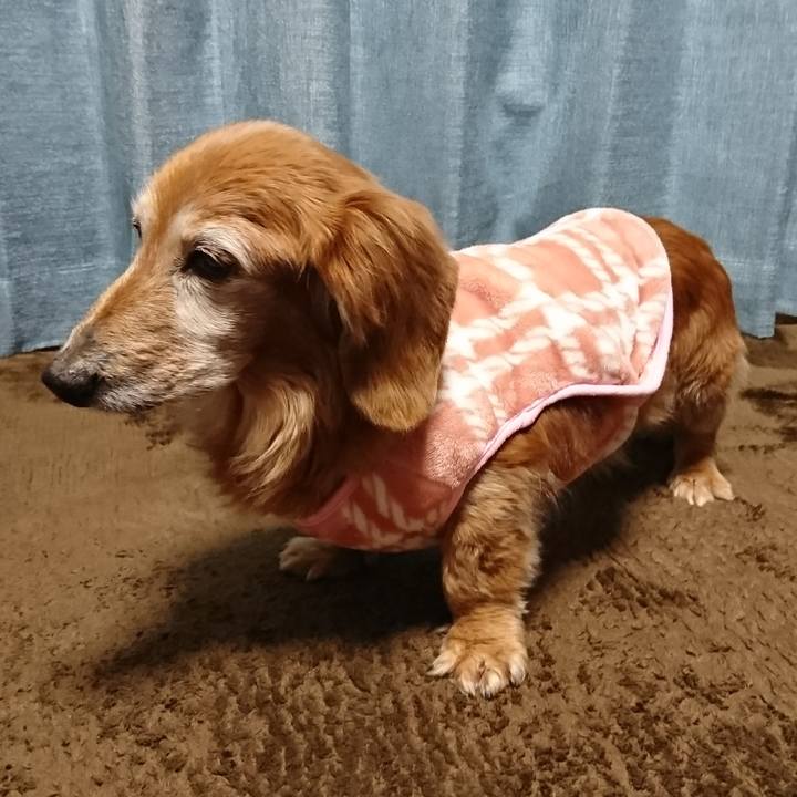 659dbffa b394 4495 bbef c785f1cc253f 1517175868885