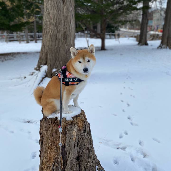 659dccfa 1d1f 417d 80f9 5a641bbabffb 1608600877656