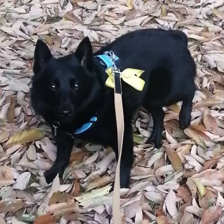 659dde5f 719c 4ad9 9a39 b87f9fe088e9 1649800460673